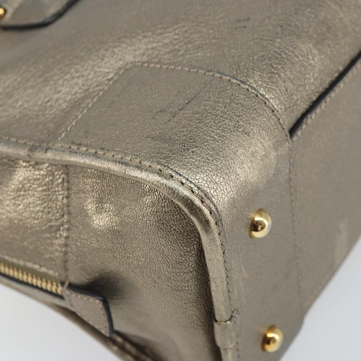 LOEWE Amazonas Hand Bag Leather Gold Tone Auth bs33234