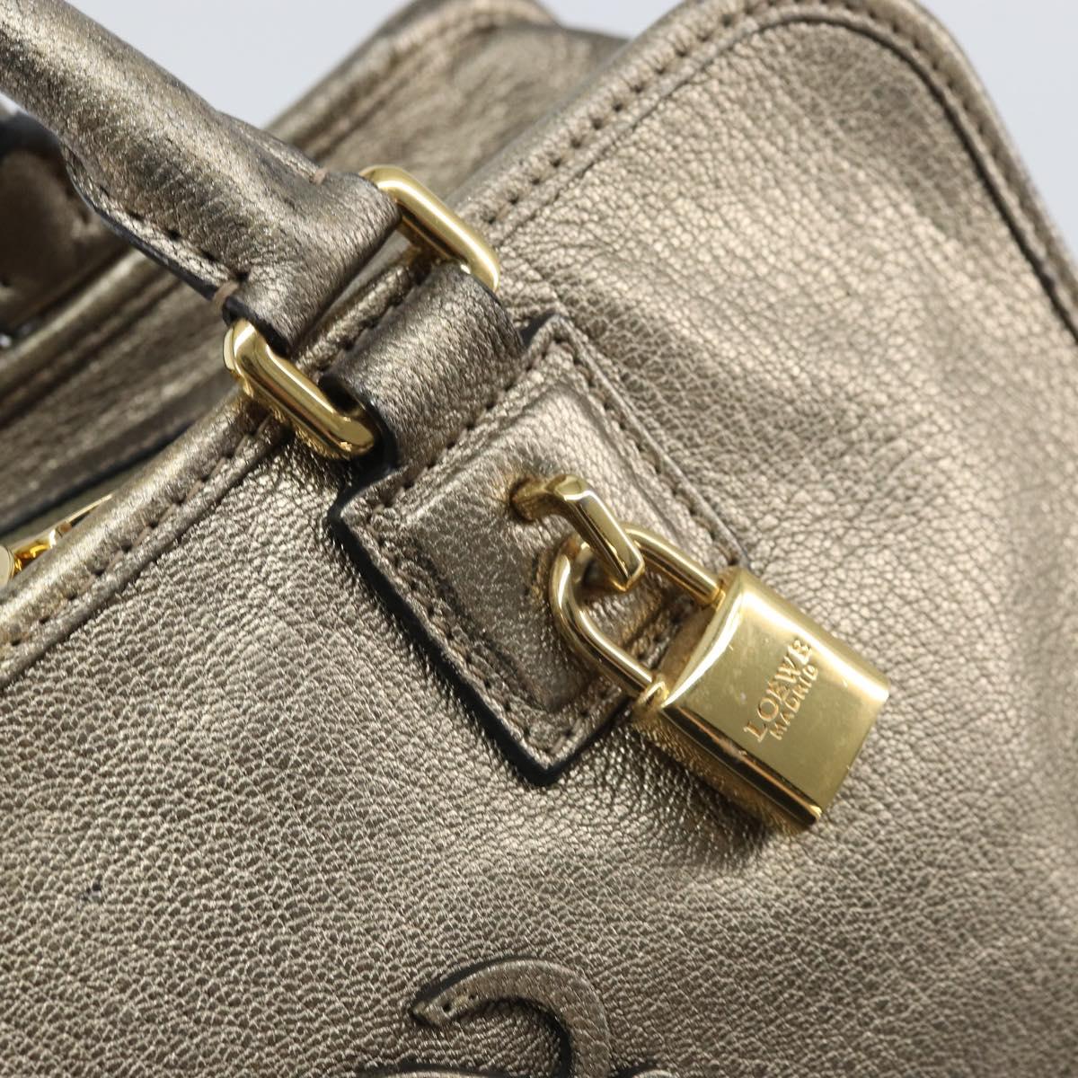 LOEWE Amazonas Hand Bag Leather Gold Tone Auth bs33234