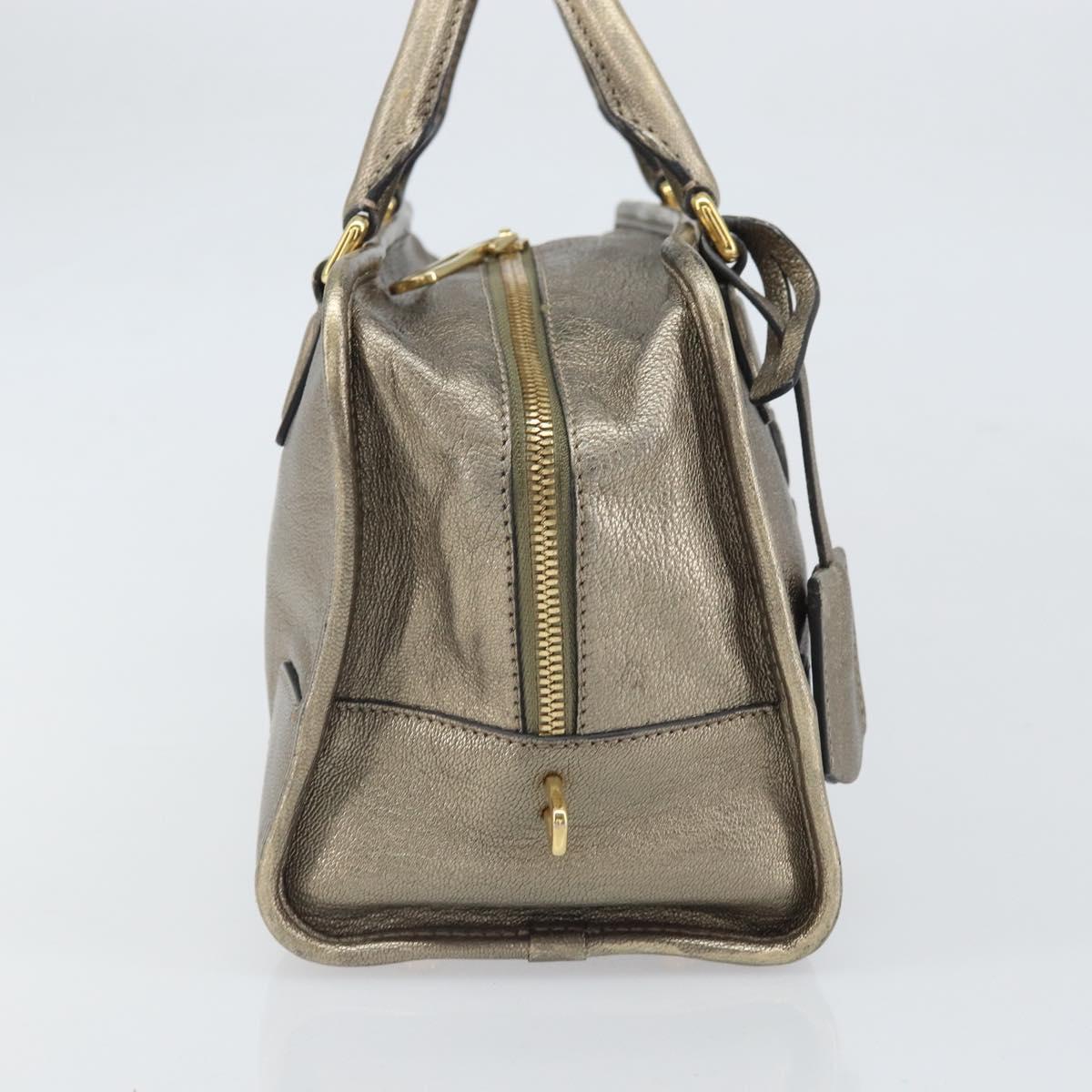 LOEWE Amazonas Hand Bag Leather Gold Tone Auth bs33234
