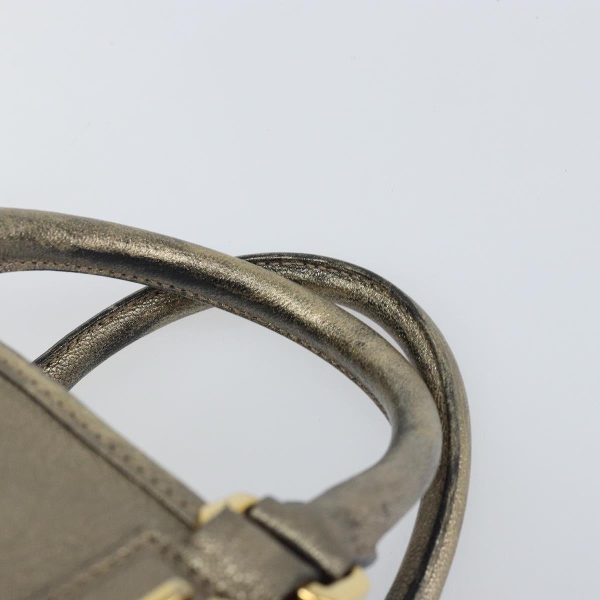 LOEWE Amazonas Hand Bag Leather Gold Tone Auth bs33234
