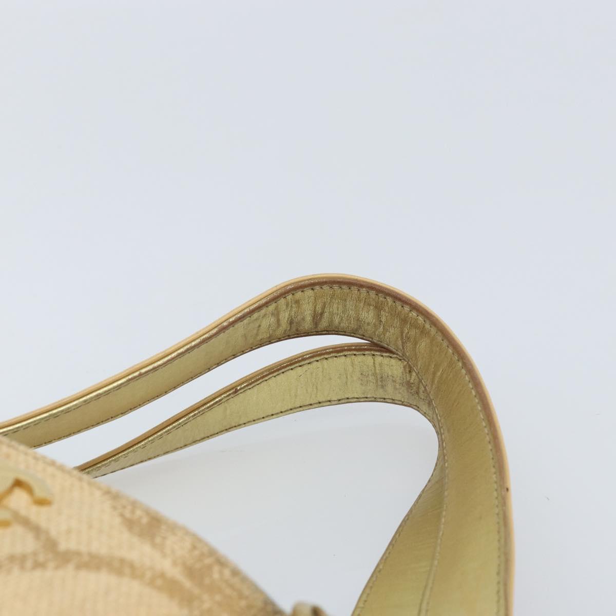 CHANEL Tote Bag Straw Beige Gold CC Auth bs33645