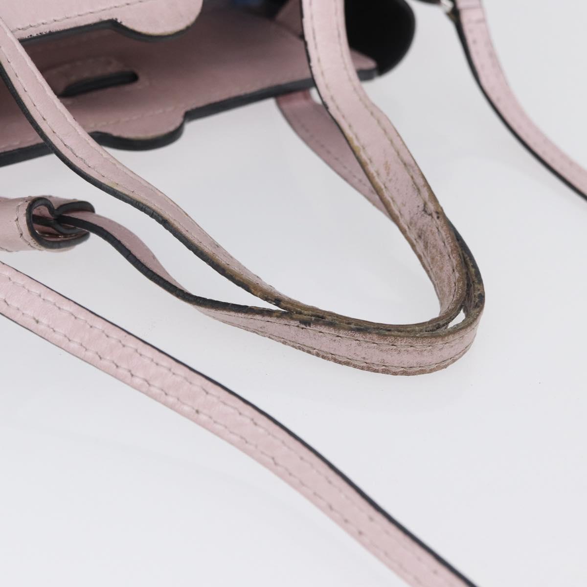 LOEWE Shoulder Bag Leather Pink Silver Auth bs33996