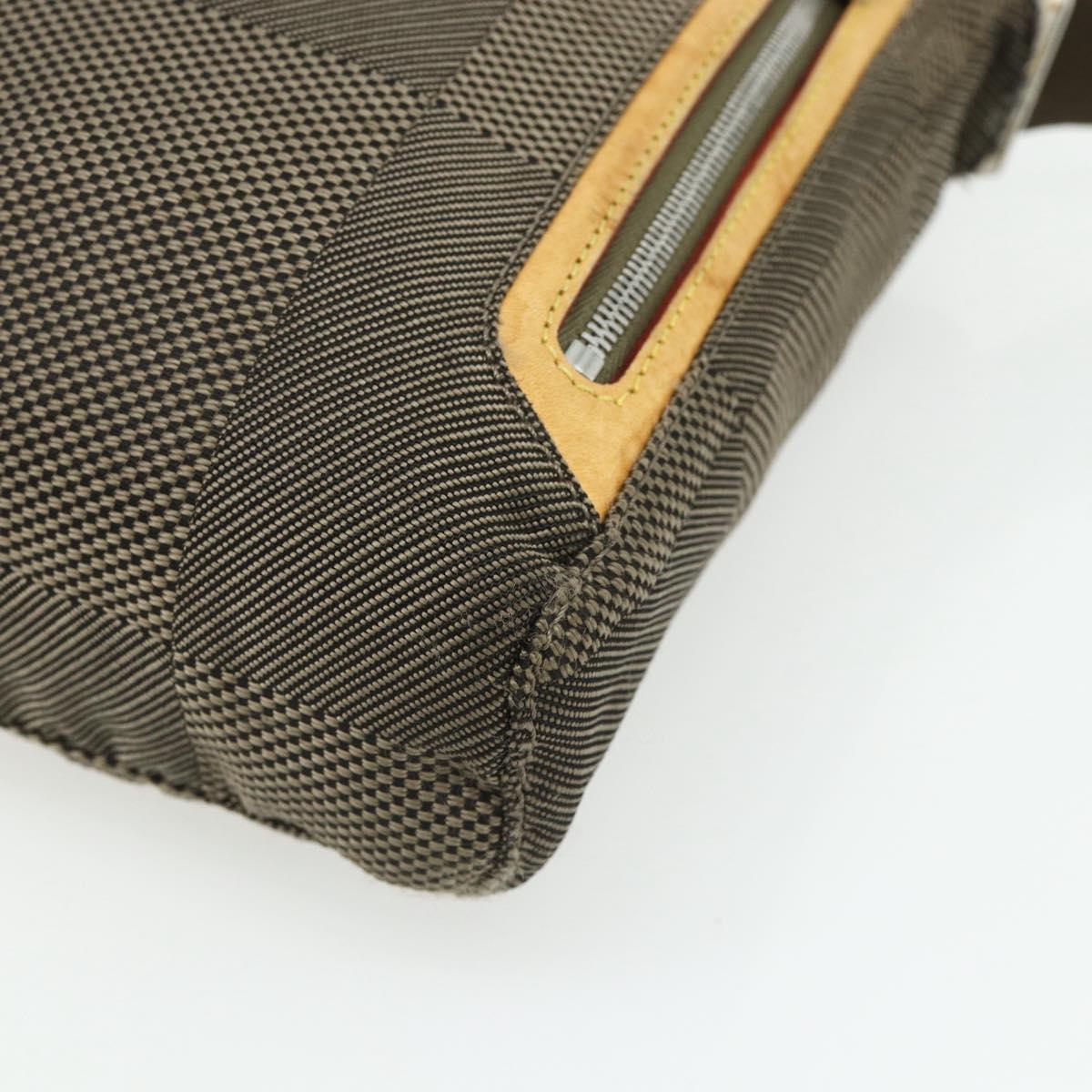 LOUIS VUITTON Damier Geant Sitadan PM Shoulder Bag Tail M93043 LV Auth bs34506