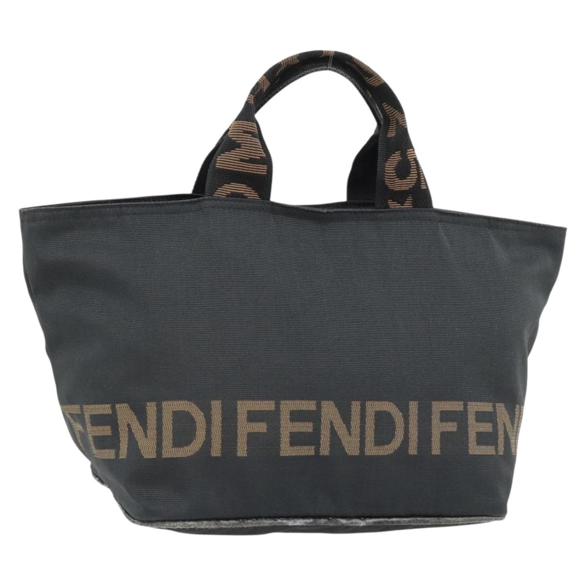 FENDI Hand Bag Nylon Black Silver Auth bs35293