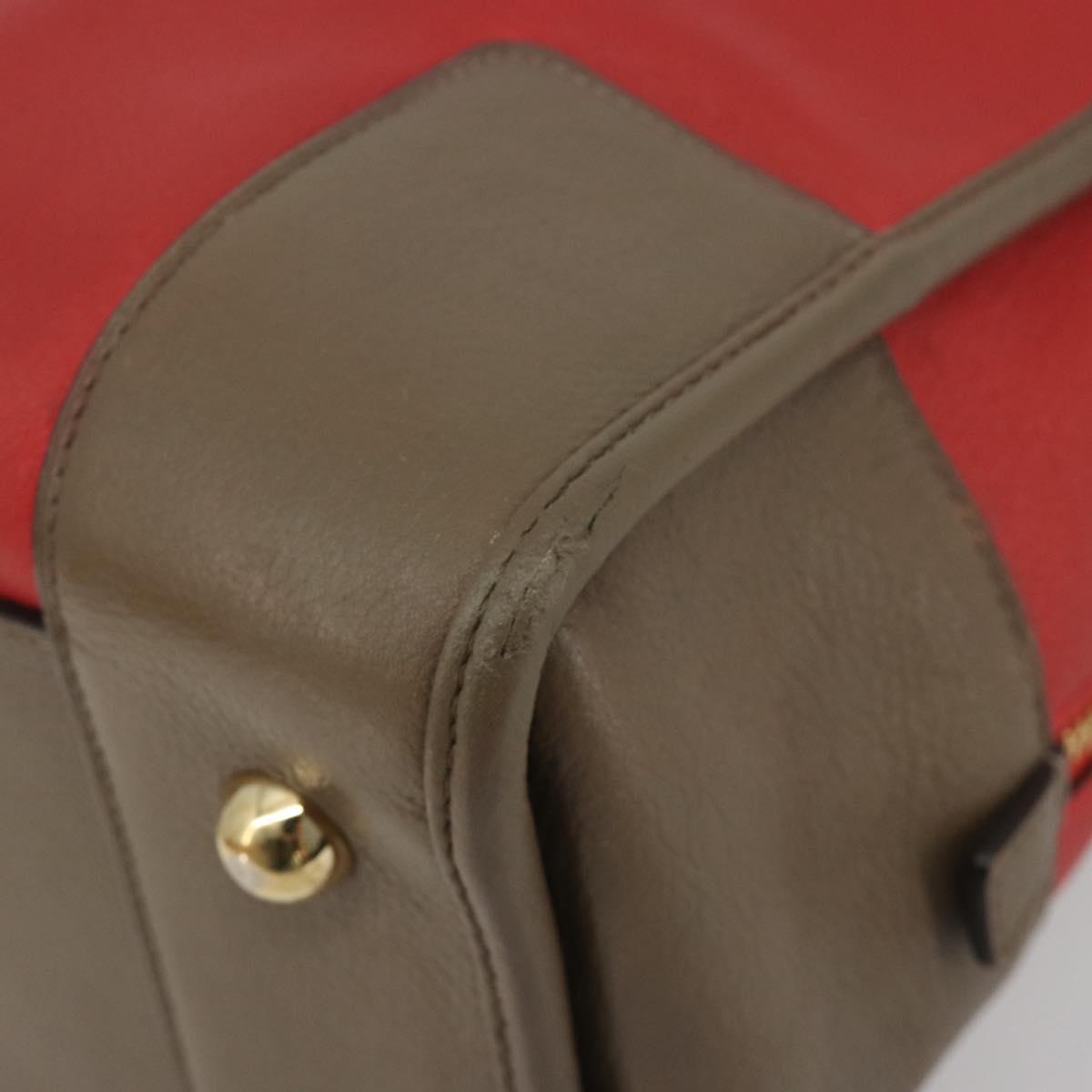 LOEWE Amazona 36 Hand Bag Leather Red Gold Auth bs35812
