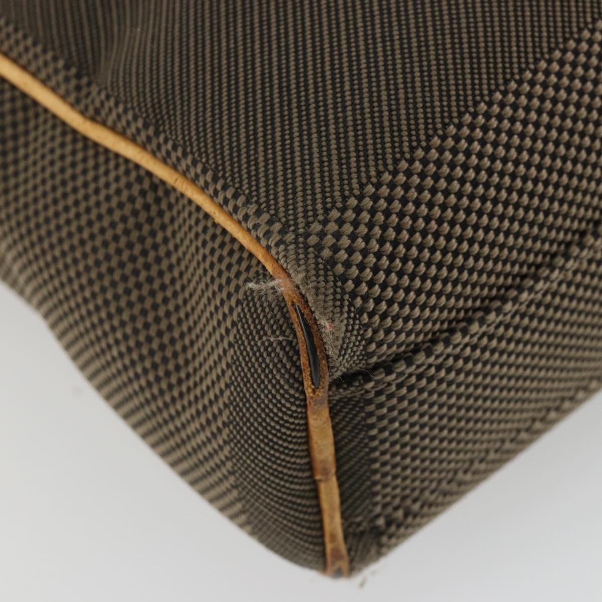 LOUIS VUITTON Damier Geant Sitadan Shoulder Bag Tail M93041 LV Auth bs35896