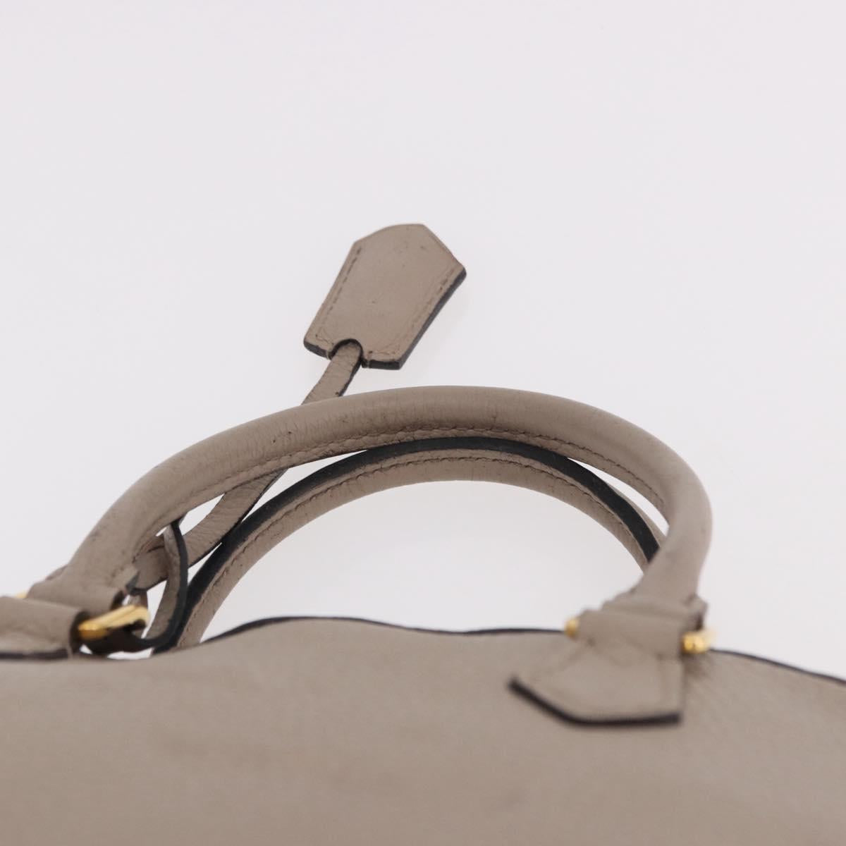 LOUIS VUITTON Parnasea Alma PM Hand Bag Leather Galet M48892 LV Auth bs36103