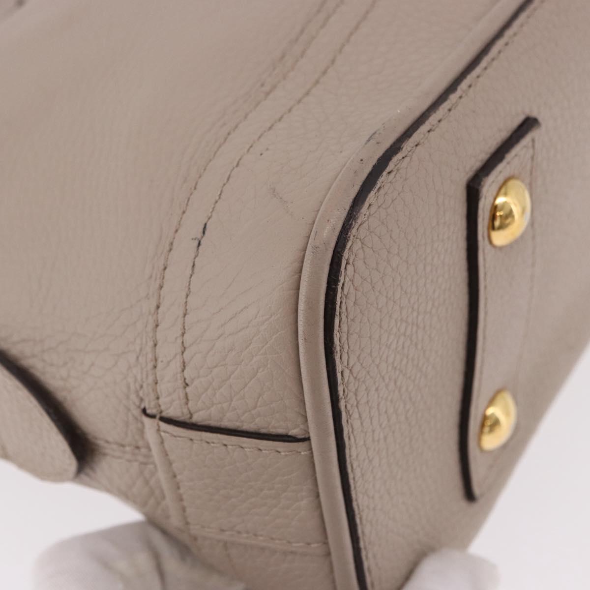 LOUIS VUITTON Parnasea Alma PM Hand Bag Leather Galet M48892 LV Auth bs36103