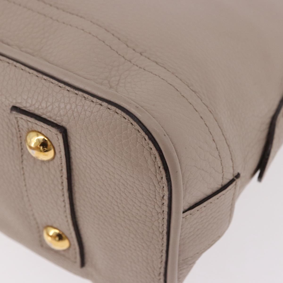 LOUIS VUITTON Parnasea Alma PM Hand Bag Leather Galet M48892 LV Auth bs36103
