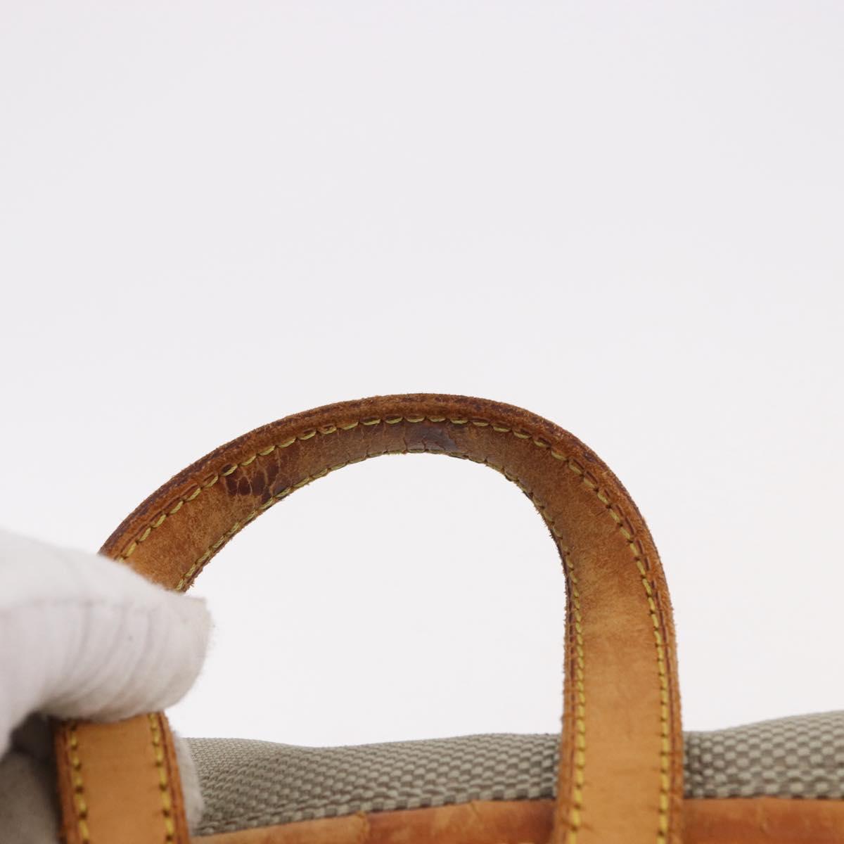 LOUIS VUITTON Damier Geant Pionie Backpack Canvas Tail M93055 LV Auth bs36162