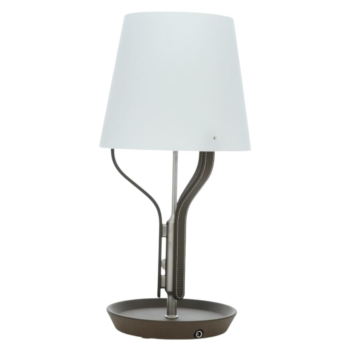 HERMES Anlumiere Arne lamp Glass Clear Auth bs36697SM