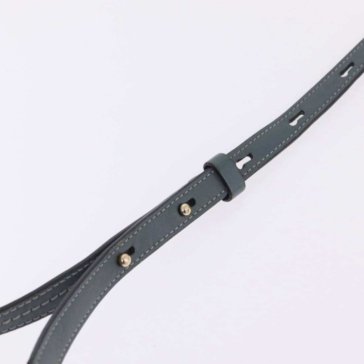 Chloe Fay Shoulder Bag Leather Suede Gray Gold Auth bs37545