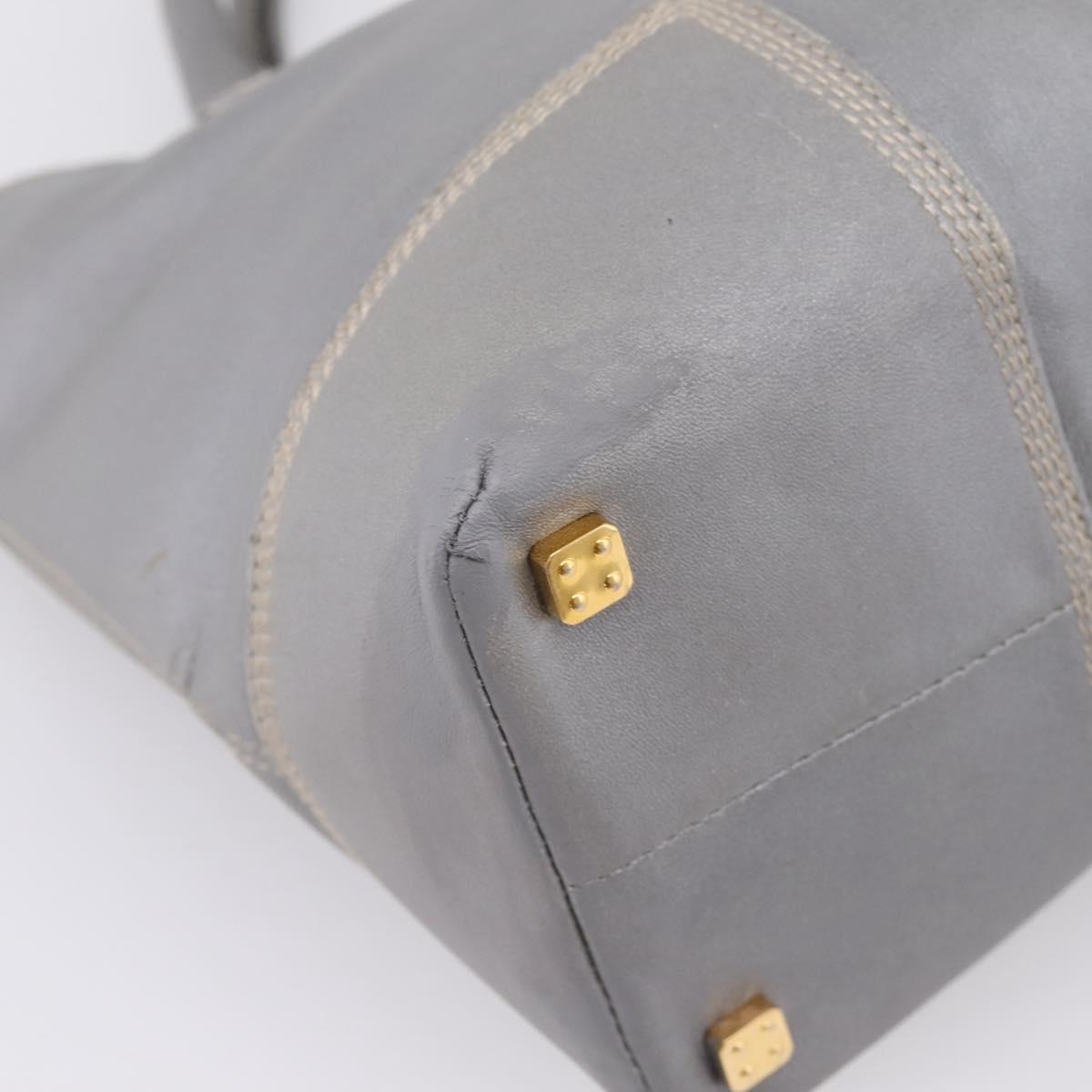 LOEWE Anagram Amazona Justa Hand Bag Leather Gold Silver Auth bs37721
