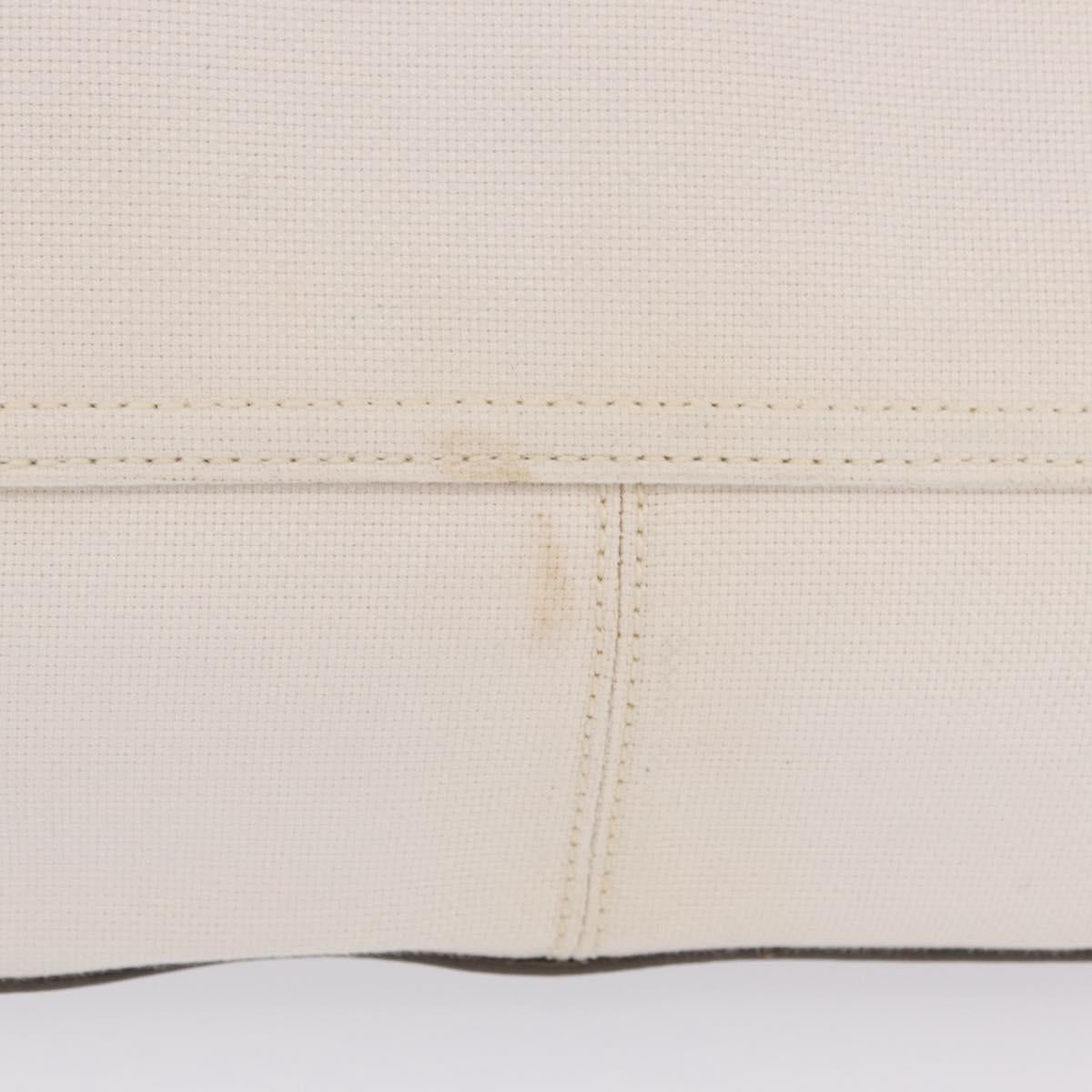 LOEWE Shoulder Bag Canvas White Silver Auth bs37789A