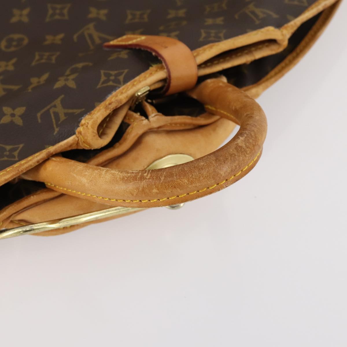 LOUIS VUITTON Monogram Sac de Portmanteau Garment Cover M23544 LV Auth BSZ293