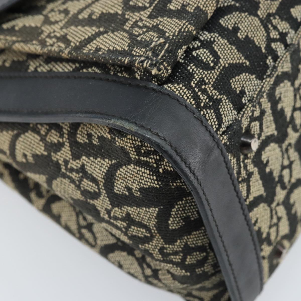 Christian Dior Trotter Canvas Hand Bag Black Silver Auth BSZ335