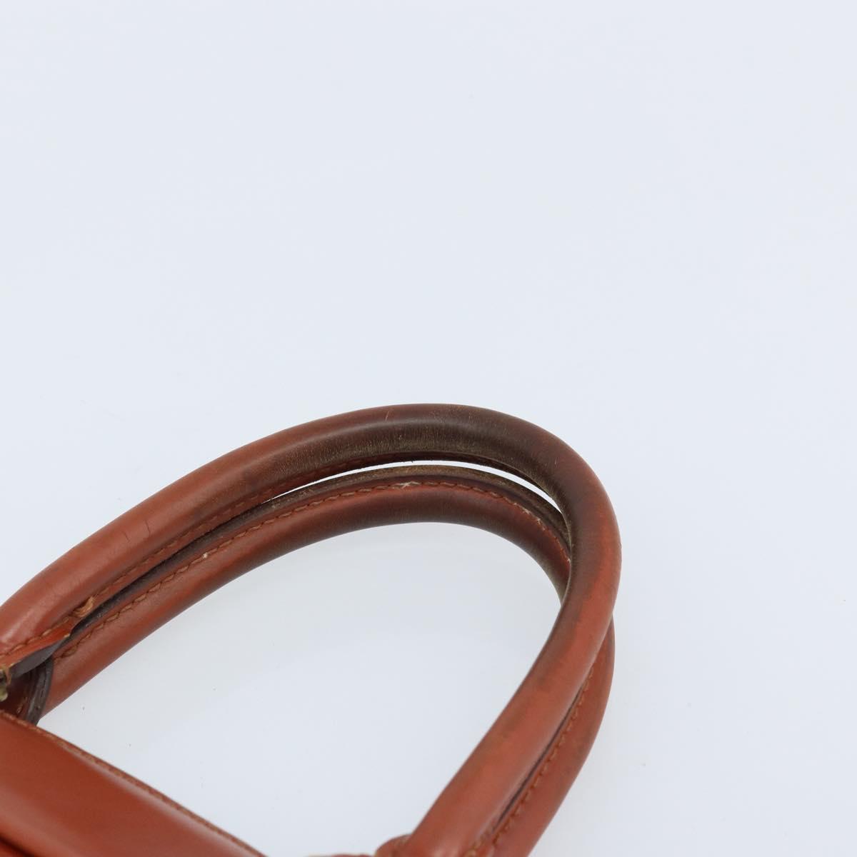 LOUIS VUITTON Epi Riviera Hand Bag Brown M48183 LV Auth BSZ518