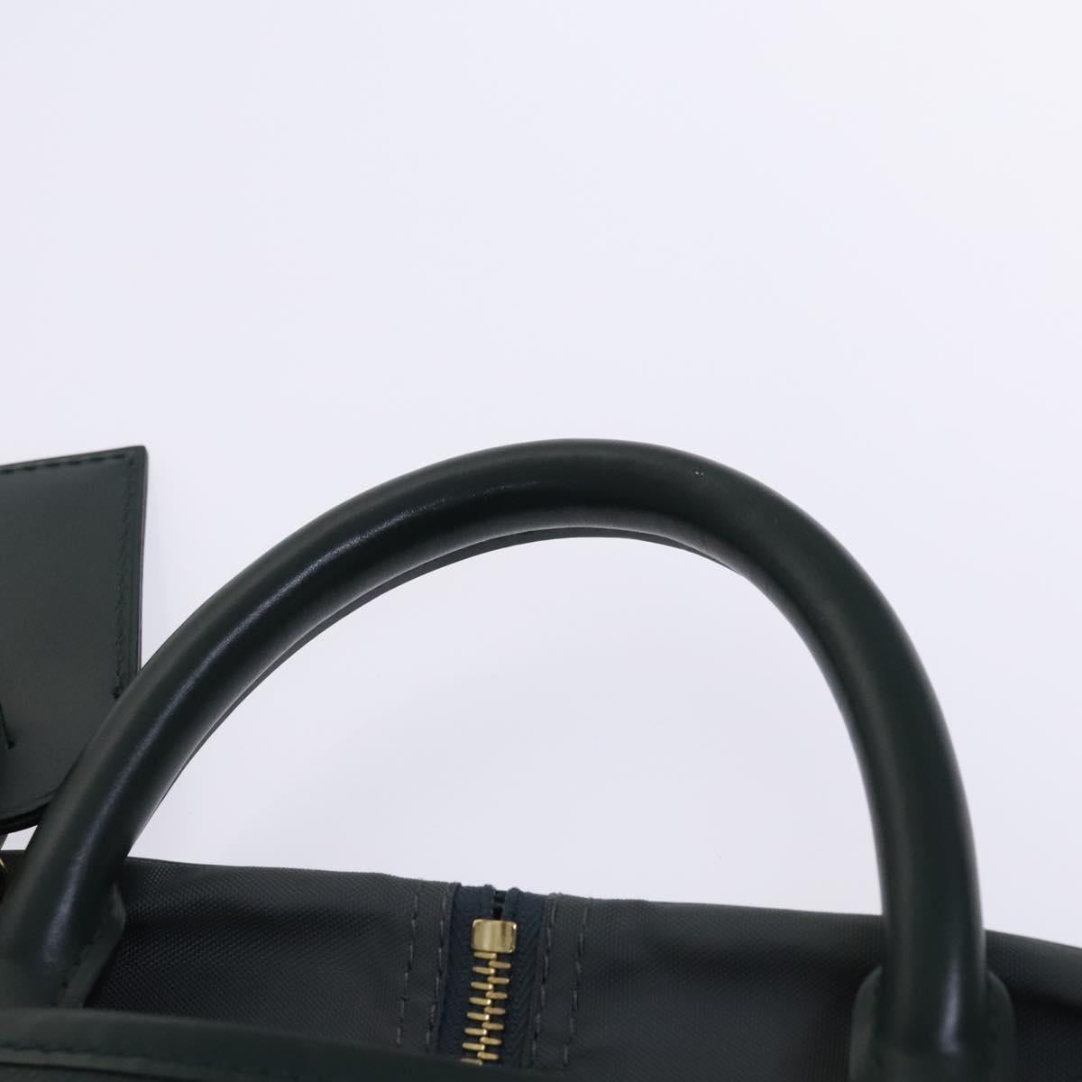 LOUIS VUITTON Taiga Bering Garment Cover Epicea M30134 LV Auth EC487