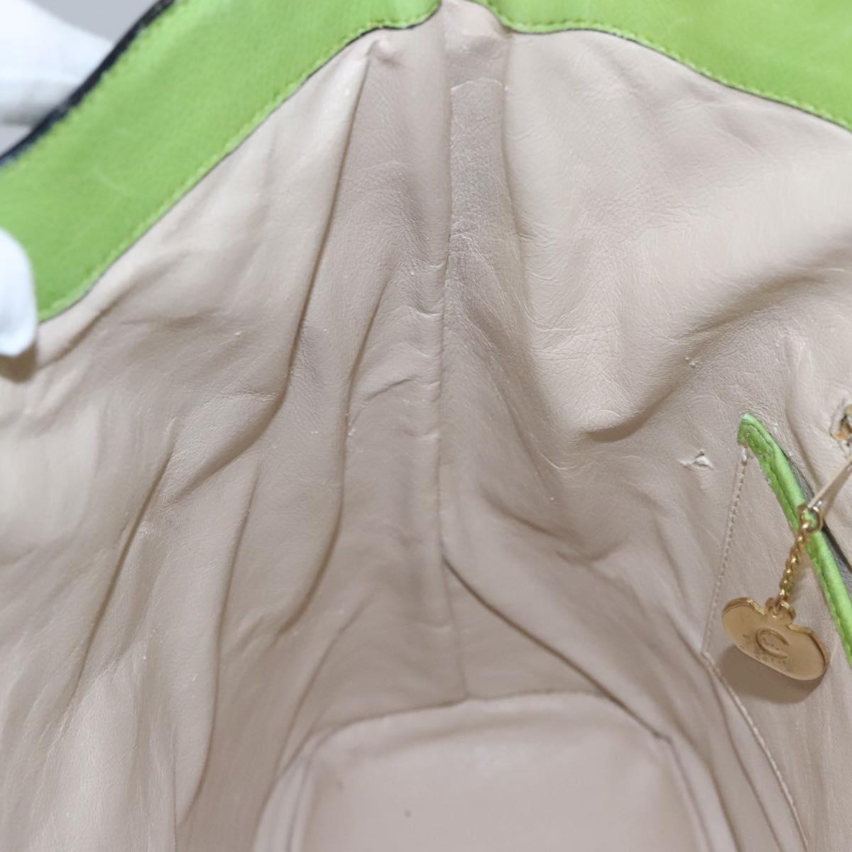 CELINE Shoulder Bag Leather Green Red yellow Auth EC743