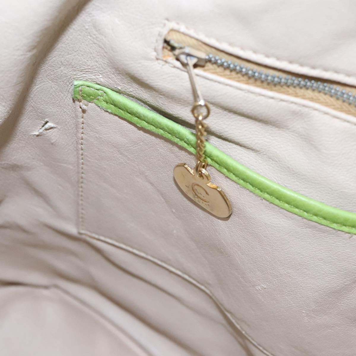 CELINE Shoulder Bag Leather Green Red yellow Auth EC743