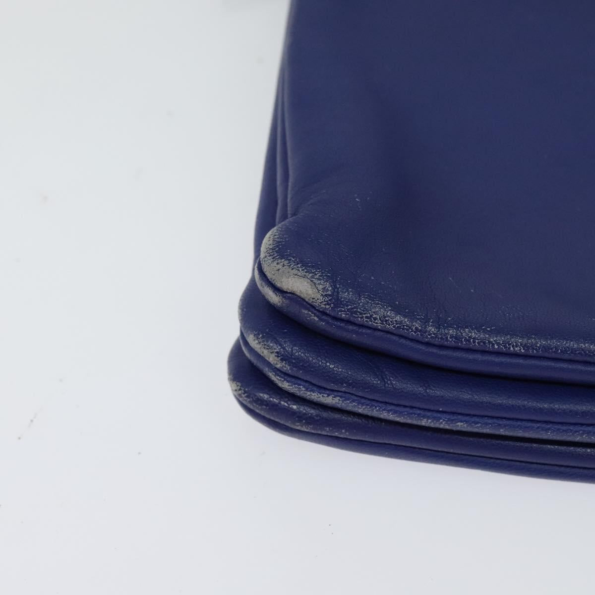 CELINE Trio Shoulder Bag Leather Blue Gold Auth EC863