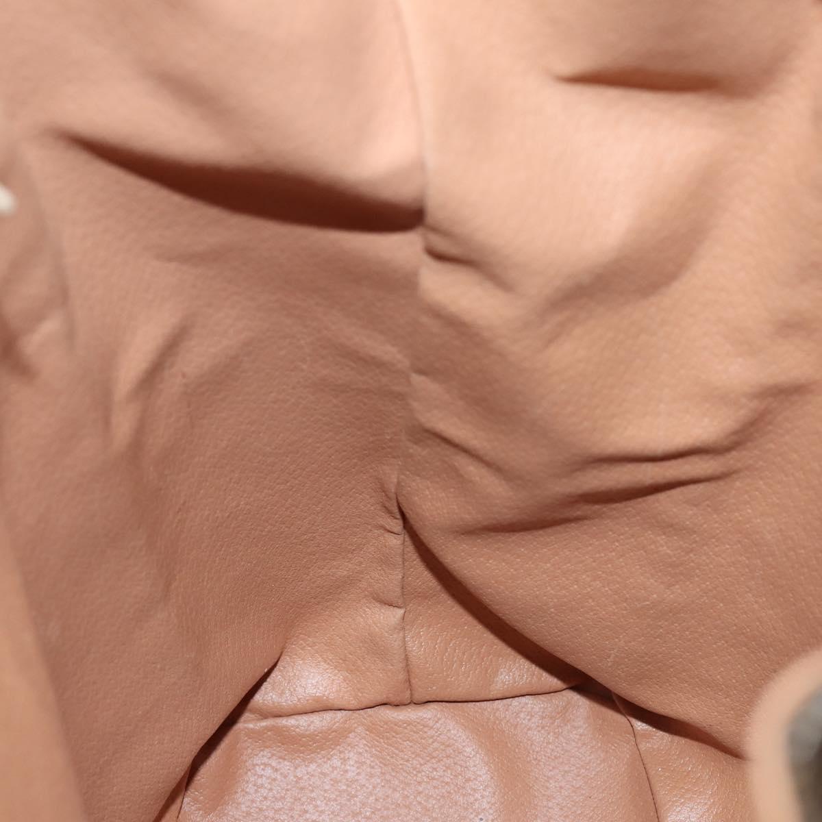 CELINE Macadam Canvas Backpack PVC Leather Brown Gold Auth ep10649