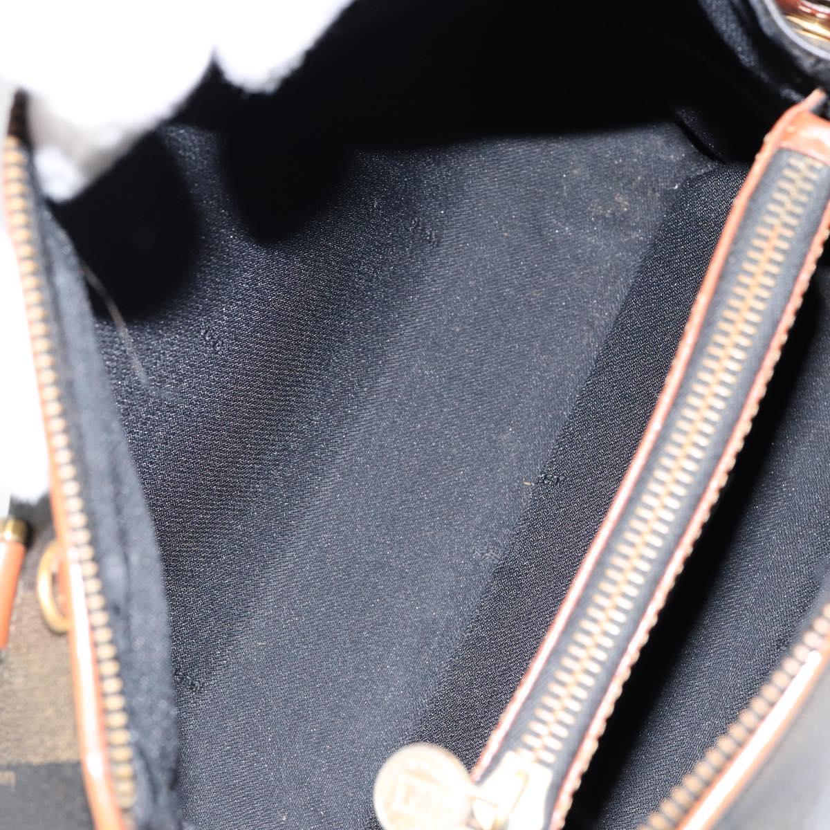 FENDI Pecan Canvas Hand Bag PVC Brown Gold Auth ep11310