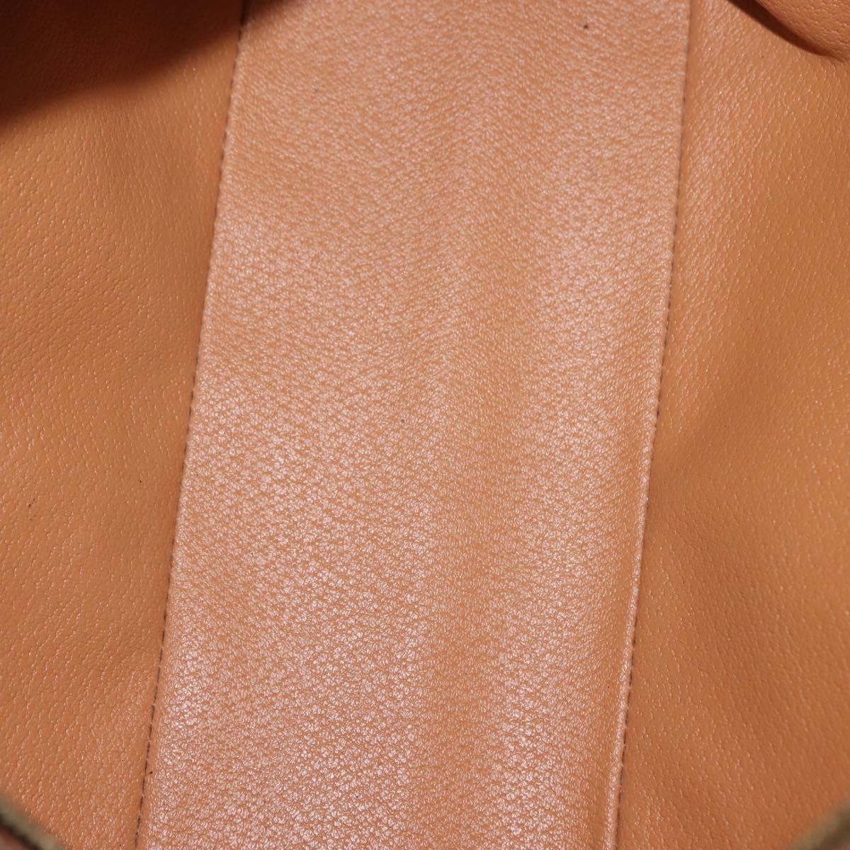 CELINE Macadam Canvas Hand Bag PVC Leather Brown Gold Auth ep11600