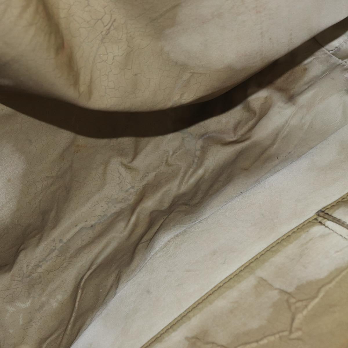 LOUIS VUITTON Damier Geant Roux Shoulder Bag Tail M93077 LV Auth ep11763