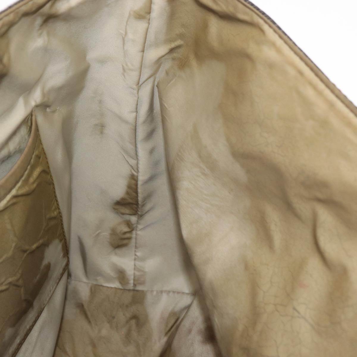 LOUIS VUITTON Damier Geant Roux Shoulder Bag Tail M93077 LV Auth ep11763