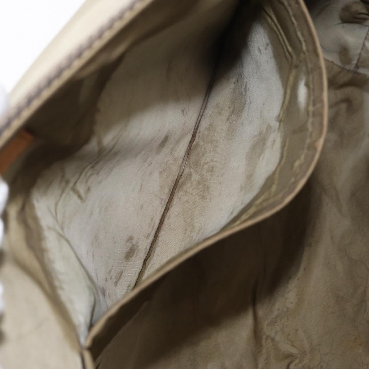 LOUIS VUITTON Damier Geant Roux Shoulder Bag Tail M93077 LV Auth ep11763