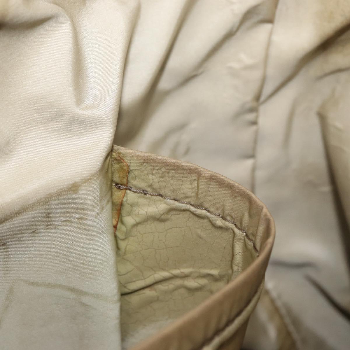 LOUIS VUITTON Damier Geant Roux Shoulder Bag Tail M93077 LV Auth ep11763