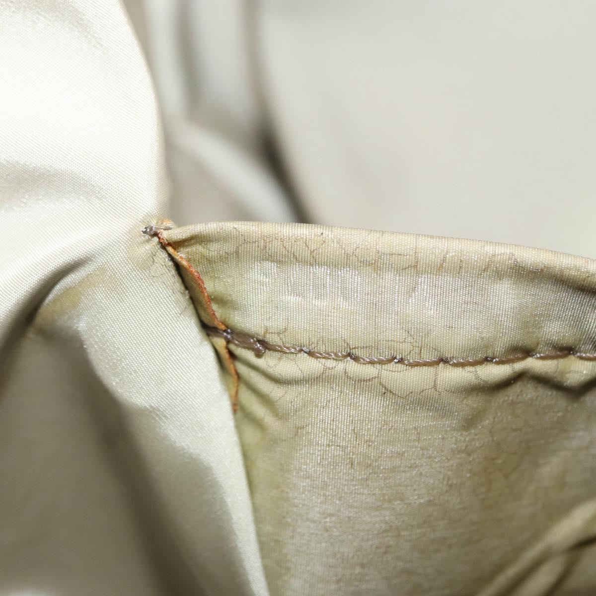 LOUIS VUITTON Damier Geant Roux Shoulder Bag Tail M93077 LV Auth ep12000