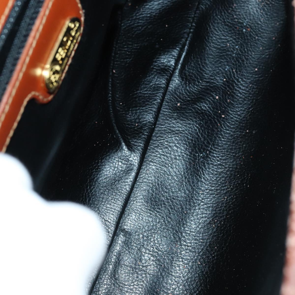 FENDI Pecan Canvas Hand Bag PVC 2way Black Brown Auth ep12011