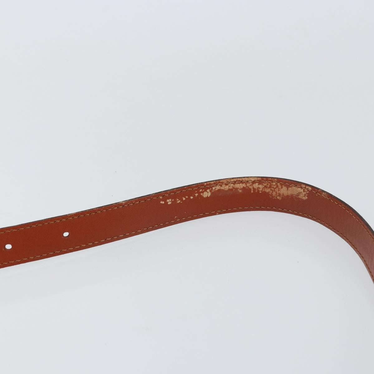 LOUIS VUITTON Epi Saint Cloud GM Shoulder Bag Brown M52193 LV Auth ep12405