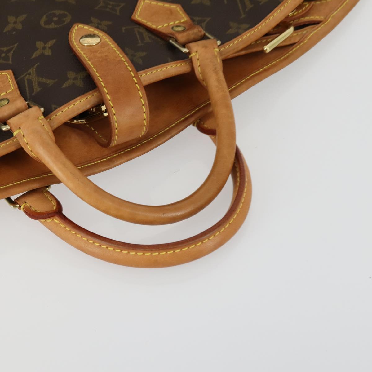 LOUIS VUITTON Monogram Garment Cover LV Auth ep12548