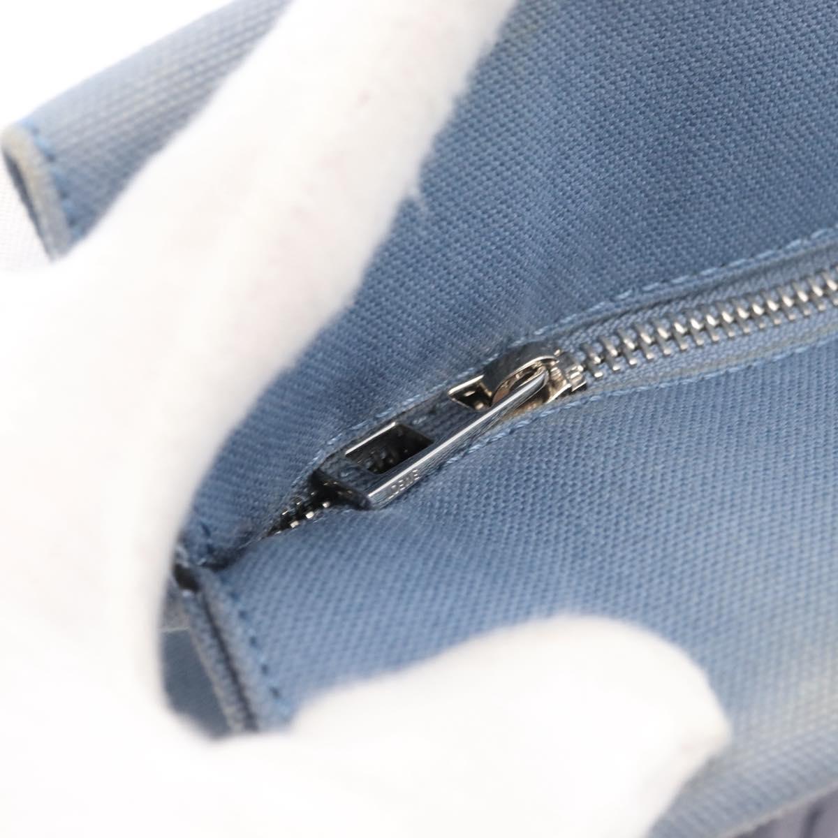 LOEWE Tote Bag Canvas Light Blue Silver Auth ep13411