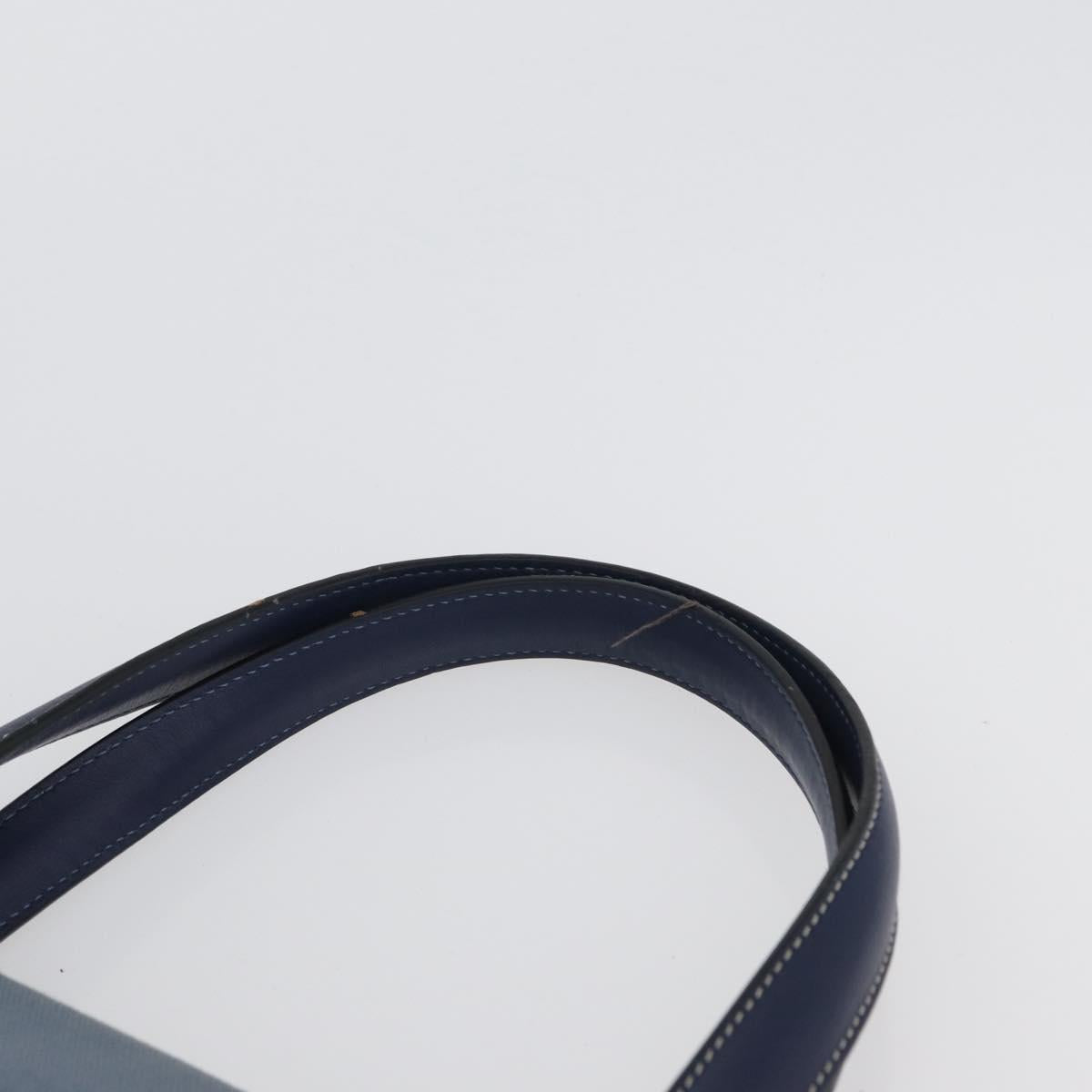 LOEWE Tote Bag Canvas Light Blue Silver Auth ep13411