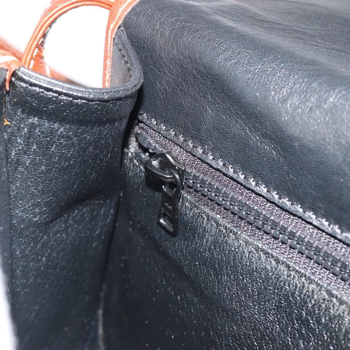 CELINE Shoulder Bag Leather Black Brown Auth ep15389