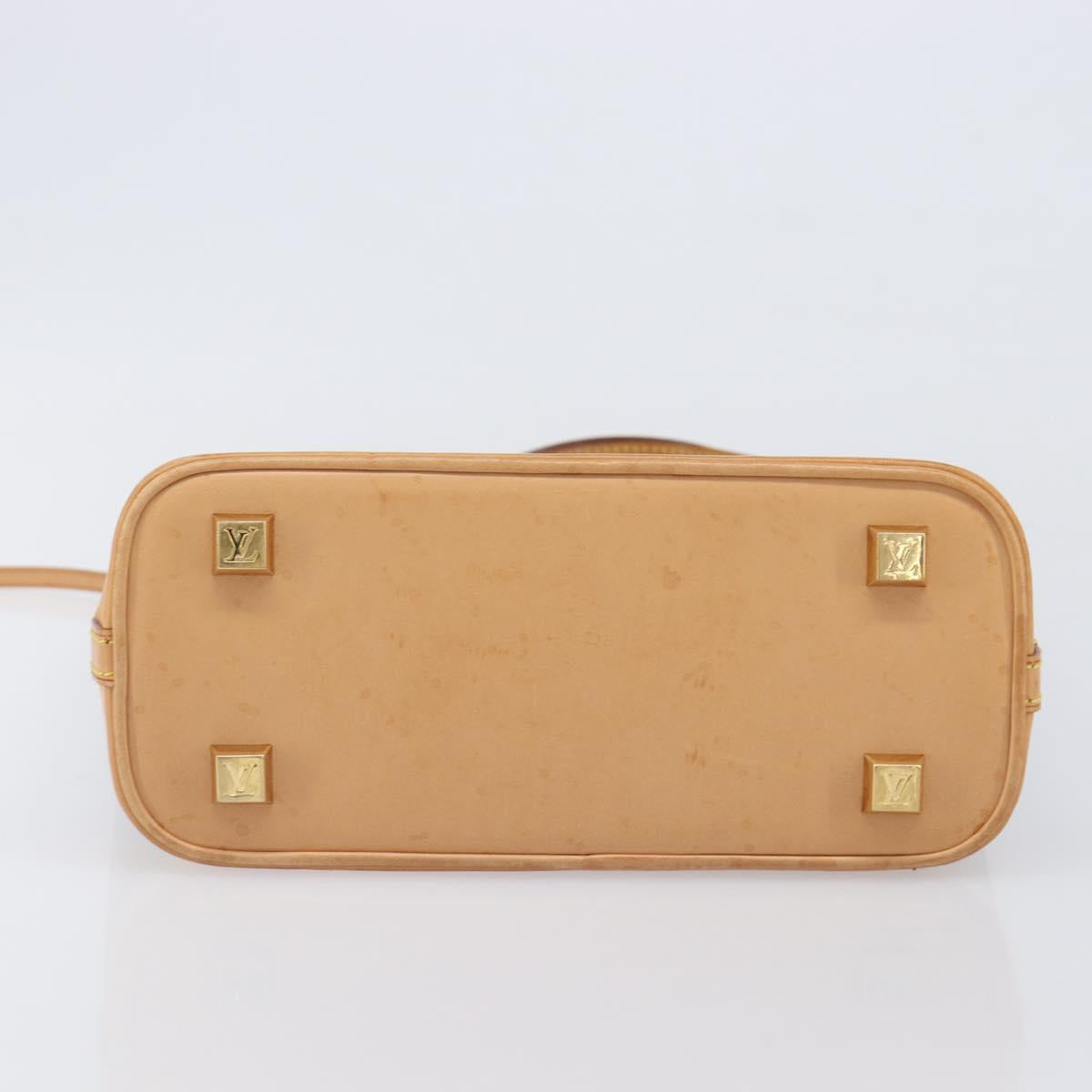 LOUIS VUITTON Monogram Vinyl Cabas Amble PM Bag Brown M92502 LV Auth ep15927
