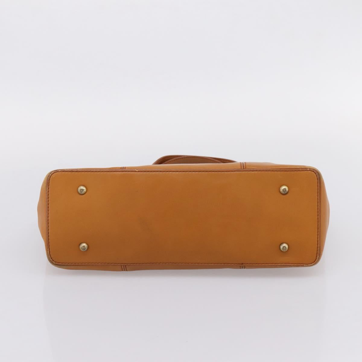BURBERRY Hand Bag Leather Brown Gold Auth ep16062