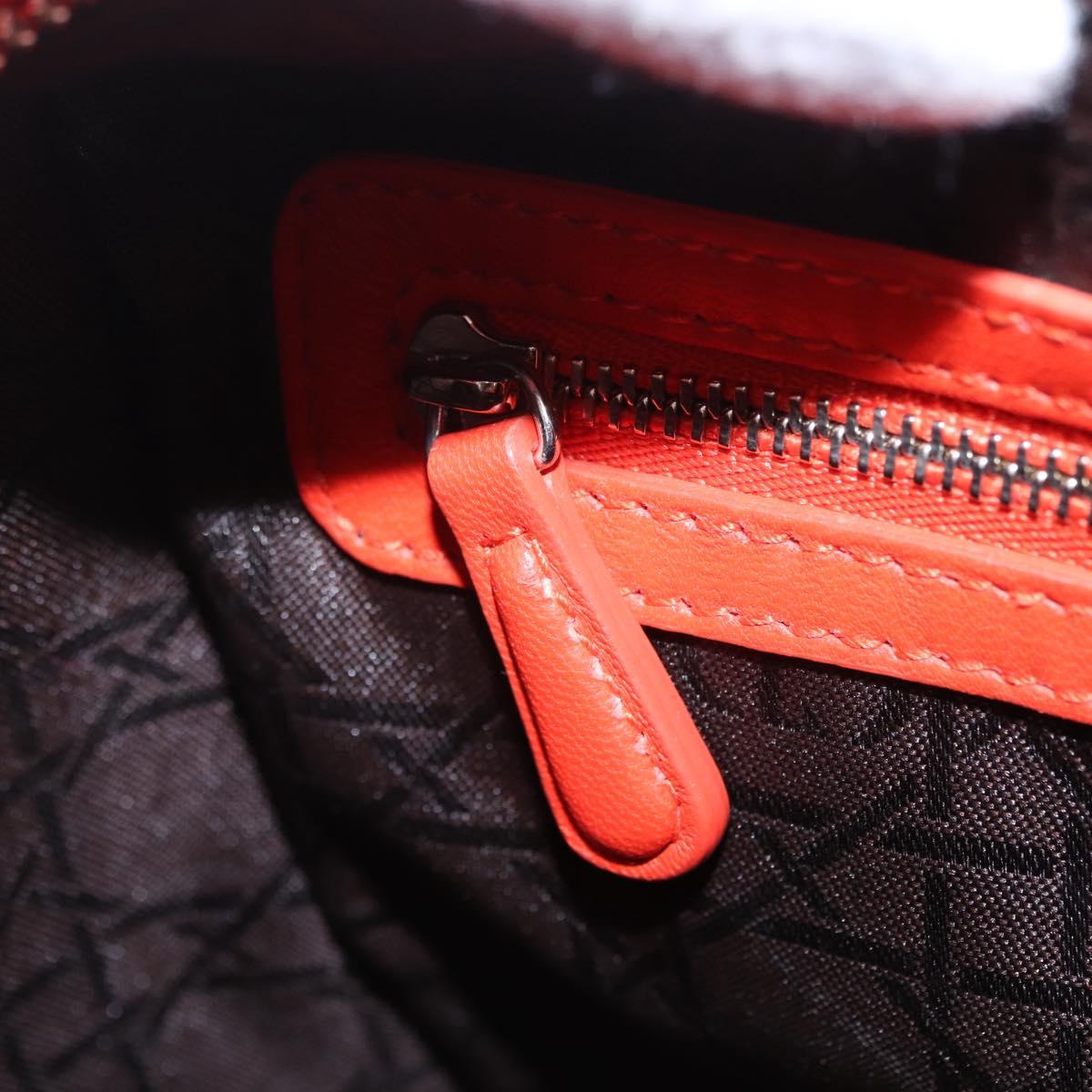 Christian Dior Lady Dior Canage Hand Bag Leather 2way Red Silver Auth ep16721V