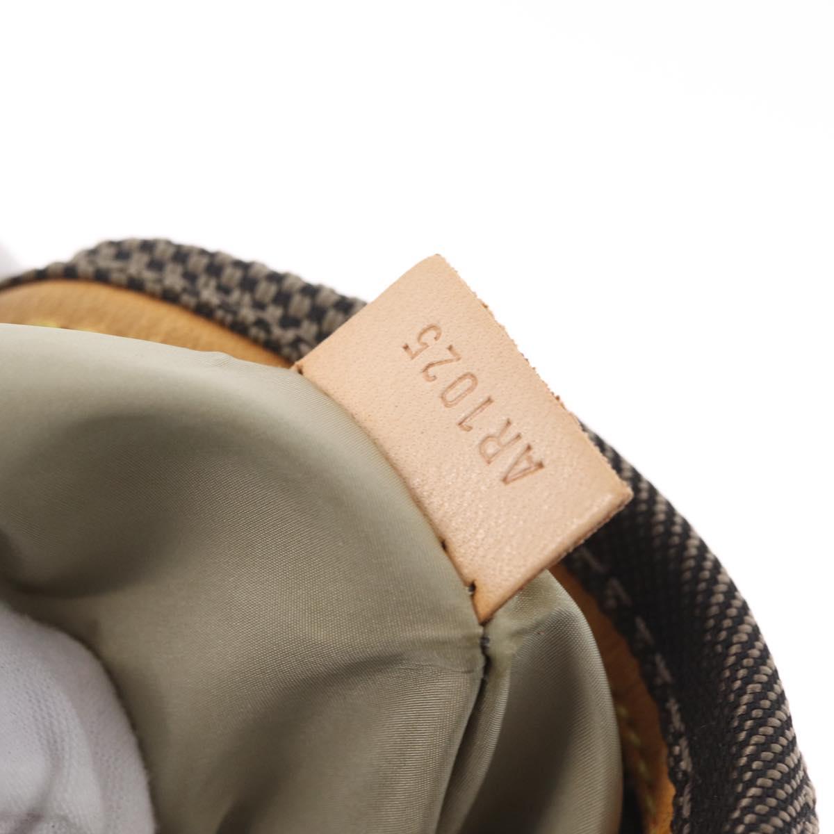 LOUIS VUITTON Damier Geant Sitadan PM Shoulder Bag Tail M93043 LV Auth ep16971