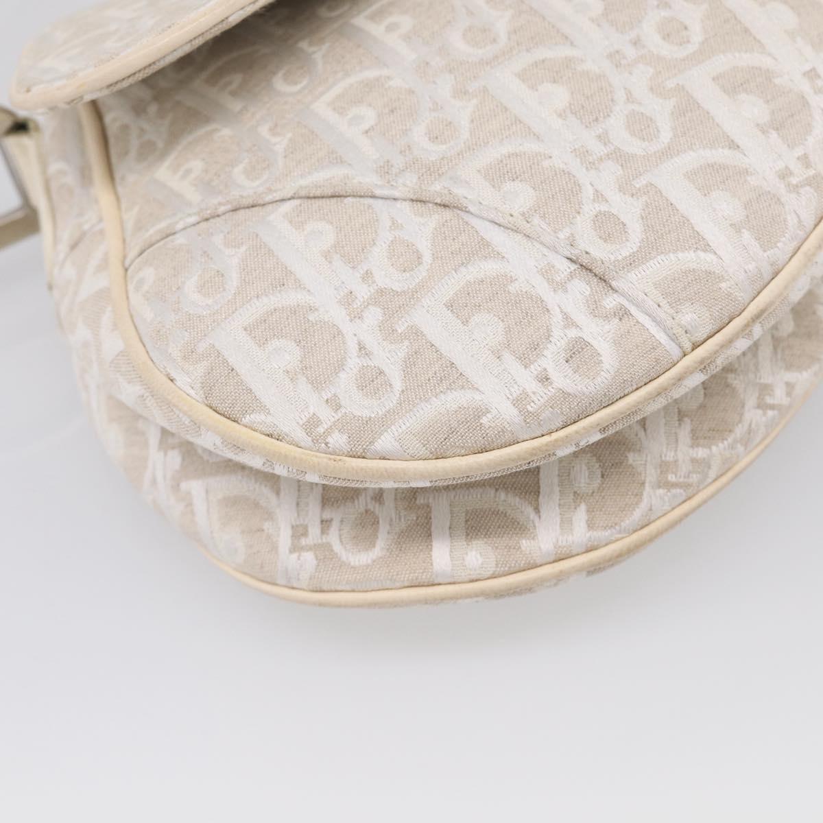 Christian Dior Trotter Canvas saddle Hand Bag Beige Silver Auth ep17108V