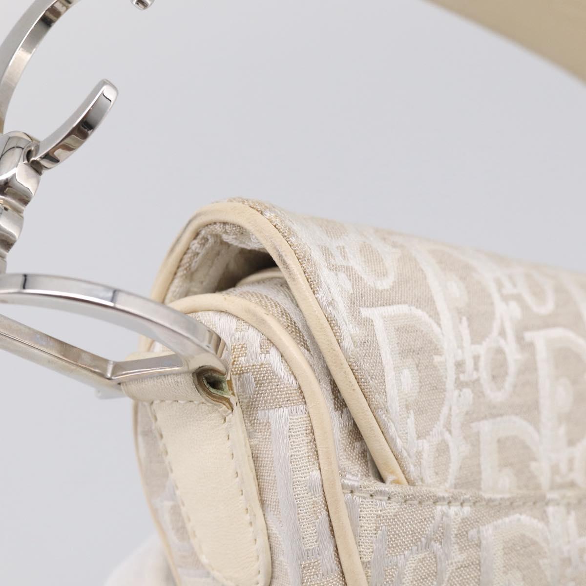 Christian Dior Trotter Canvas saddle Hand Bag Beige Silver Auth ep17108V