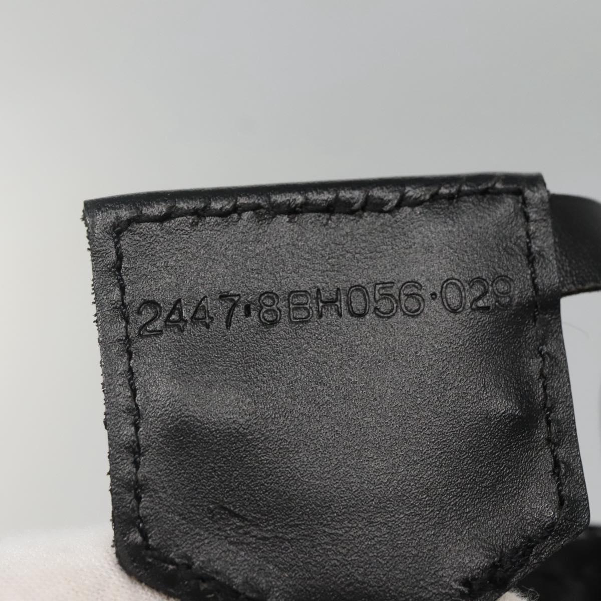 FENDI Zucchino Canvas Hand Bag Black Silver Auth ep9961