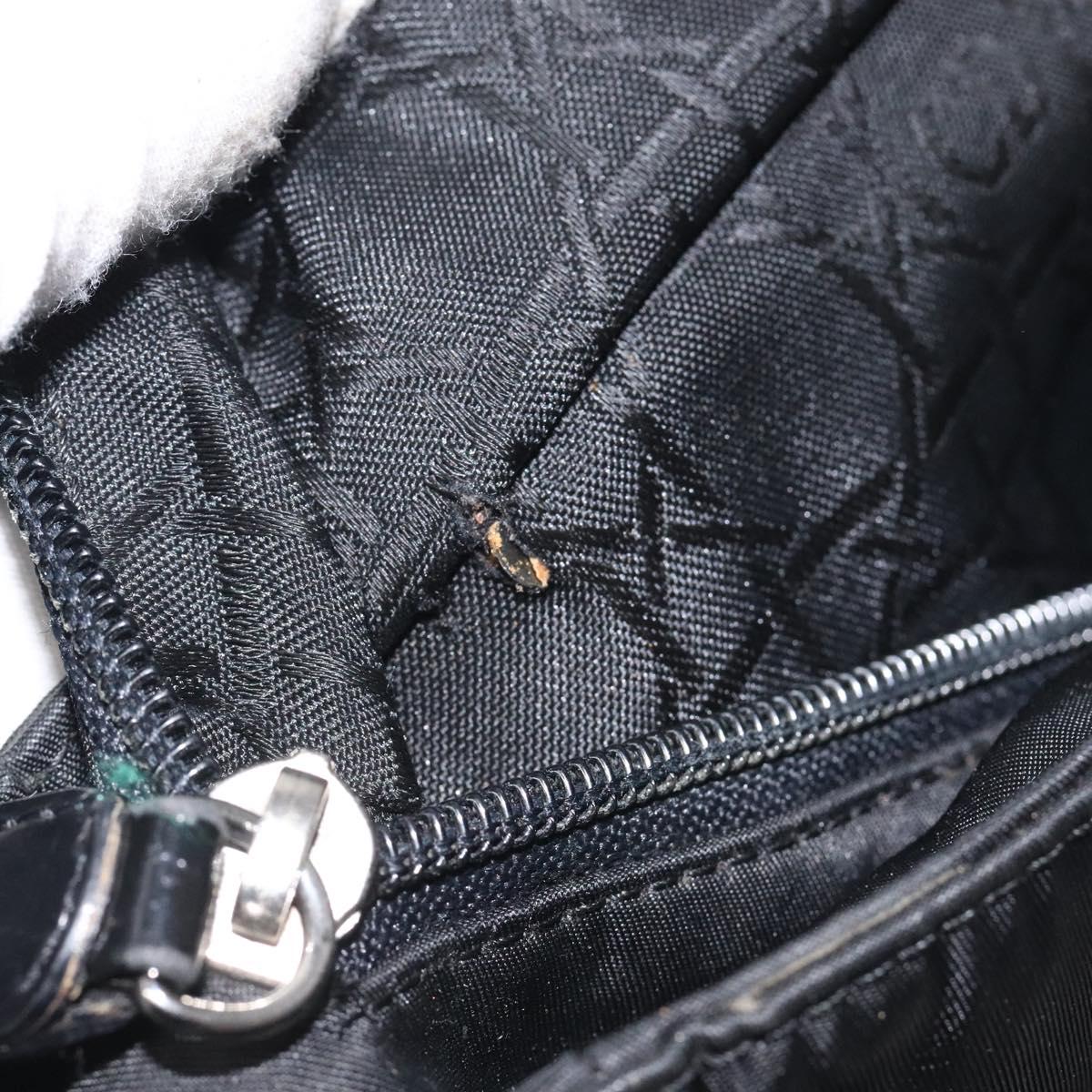 Christian Dior Tote Bag Nylon Black Silver Auth fm4460