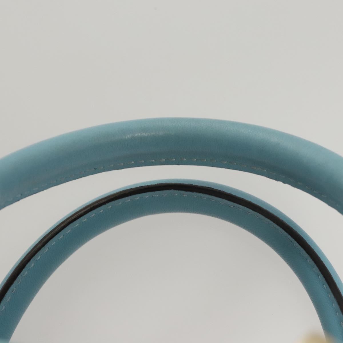 LOEWE Anagram Amazona 28 Hand Bag Leather Light Blue Gold Auth fm4572