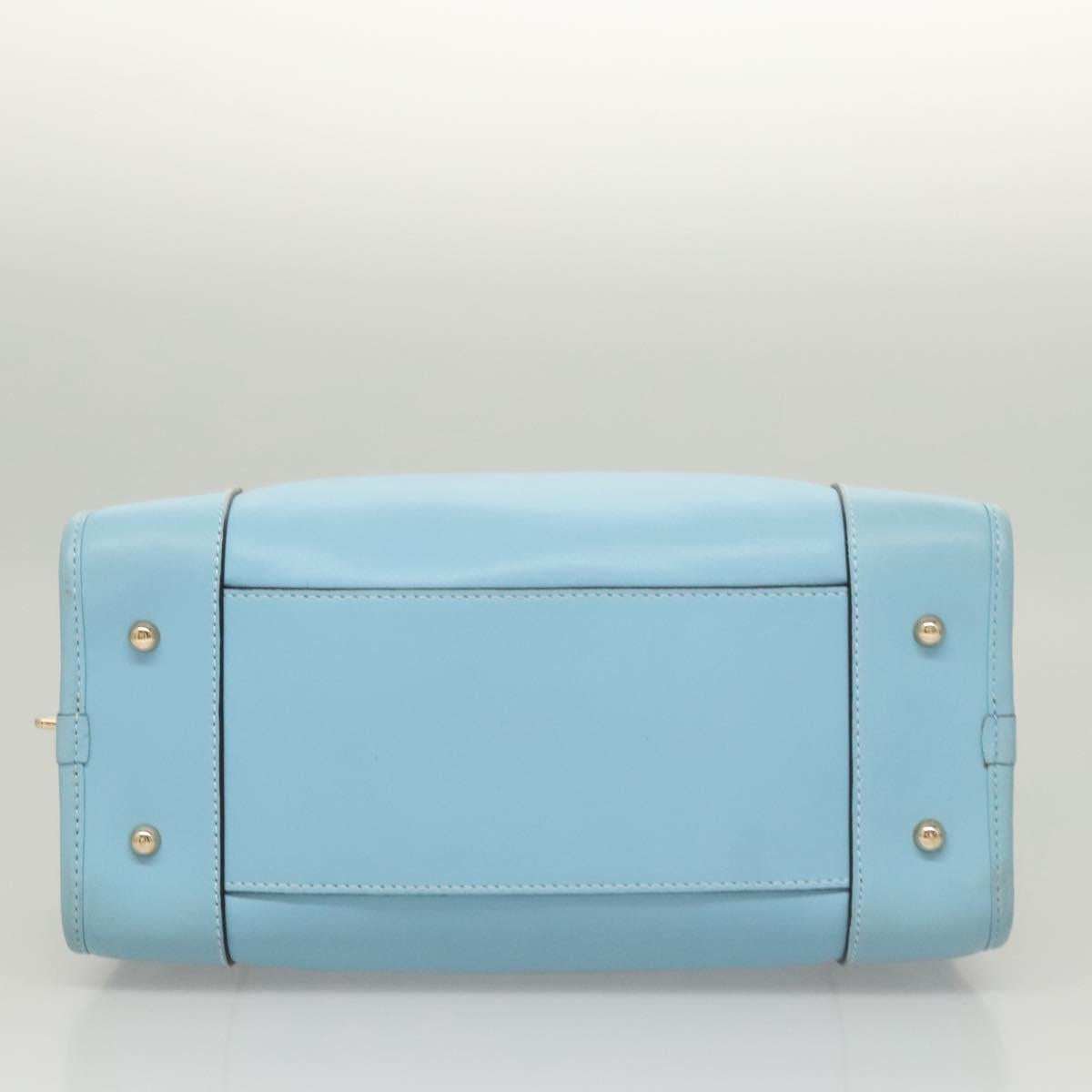 LOEWE Anagram Amazona 28 Hand Bag Leather Light Blue Gold Auth fm4572