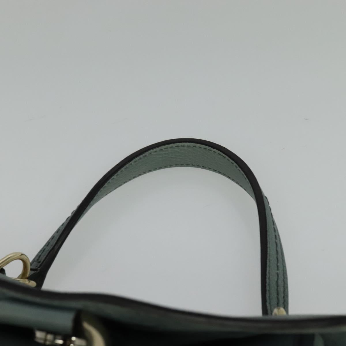 Chloe Fayday Hand Bag Leather 2way Green Gold Auth fm4705